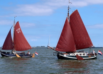 Co 173